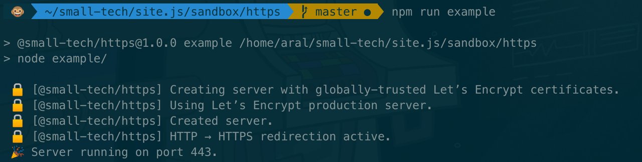 Screenshot of @small-tech/https example app running in terminal with globally-trusted Let’s Encrypt certificates